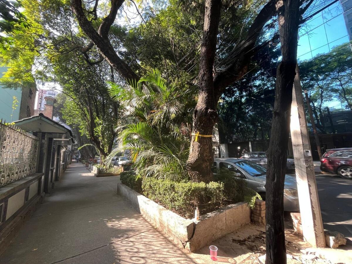 Near The Spots In Polanco