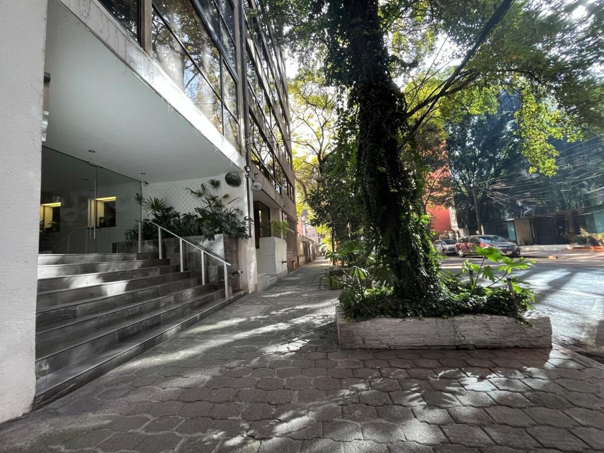 Near The Spots In Polanco